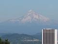 Portland 54